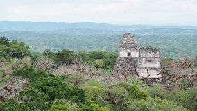 Panoramic view of Tikal Mayan ruins in northern Guatemala