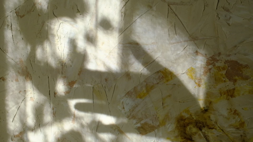 Blurred shadow of  hand  on the wall background with lines floral pattern. Abstract, play  light and shadow, natural light, shadow play illusion concept. Atmosphere mood. Boho style