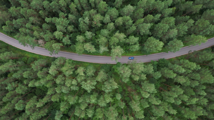 Aerial View Blue Car Driving Down an Asphalt Road Crossing Vast Forest on Summer Day. Aerial Shot of Car Driving on Road in Pine Tree Forest. Road Trip Through Forest. Scenic Summer Landscape. Royalty-Free Stock Footage #1096919371