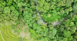 Overhead drone shot of tropical rural landscape. View of dry rocky river surrounded by trees and rice field in summer - Dry season of Indonesia