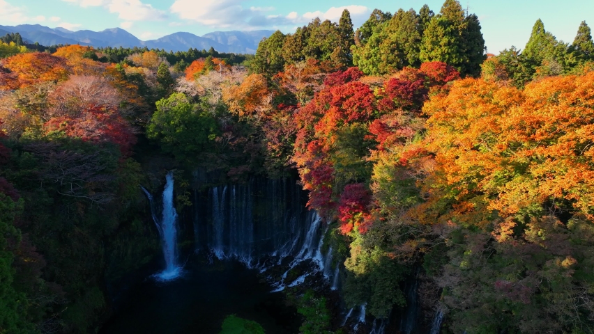scenic autumn landscape for meditation, waterfall in colourful autumn woods, aerial view of Shiraito waterfall in Japan, famous travel destination in Japan.  Royalty-Free Stock Footage #1096950221