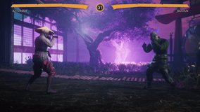 Animation of the virtual fighters vs each other in a combat video game. Gameplay displaying the fighter vs enemy in the combat simulator. Fighter vs rival character engaged in combat. kung fu