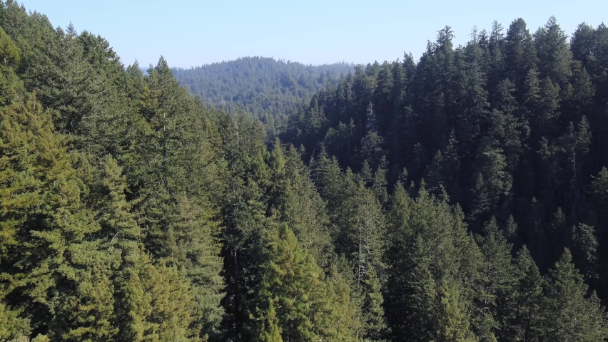Cinematic Footage of the Santa Cruz Mountains Royalty-Free Stock Footage #1096962737