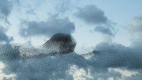 Impressive migratory Birds flock formation flying for seasonal migration or incoming storm, environment wildlife nature  - Powered by Shutterstock - Get 15% off with code: PIKWIZARD15