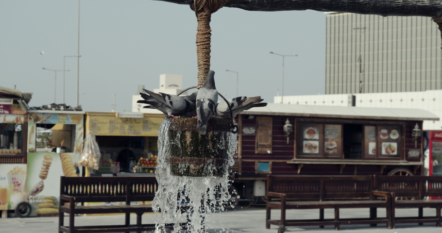 Qatar, Doha - Old Town well with birds