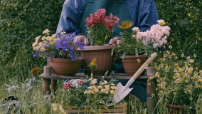 Growing flowers in garden. Gardening and floriculture. Gardener woman planting beautiful garden flowers. Preparing plants to be planted into flowering pots, putting soil by hands outdoors slow motion - Powered by Shutterstock - Get 15% off with code: PIKWIZARD15