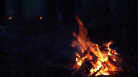 Campfire in the forest. Beautiful landscape of nature and trees. Sparks and flames. Rest by the fire. Camping in the woods. Burning firewood. Evening bonfire. Rain and snow in the forest	