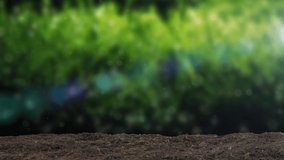 Restoration of all things and germination of seedlings - Powered by Shutterstock - Get 15% off with code: PIKWIZARD15