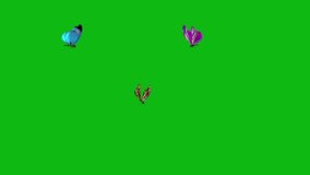 Colorful Butterflies Flying on a green screen. Butterflies Flying with key color. Chroma key, 4K video