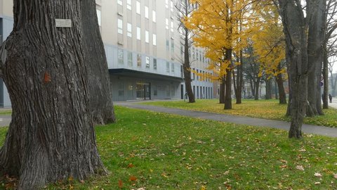 Sapporo, Japan - Nov 01 : College campus at fall season

