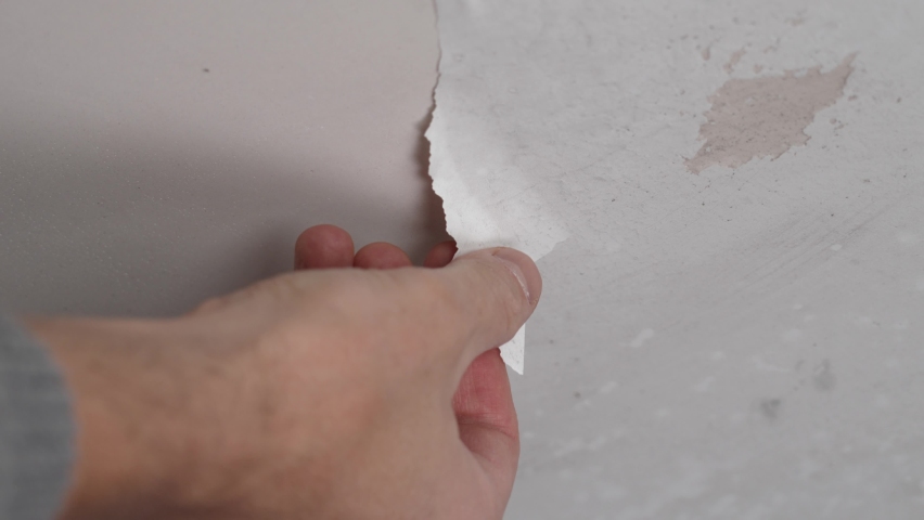 Hand peeling paint on bathroom ceiling rotting due to dampness and water leakage