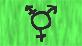 Waving Green Trans Flag. LGBT symbol. The texture of the fabric. High quality looped video footage. 4K HD