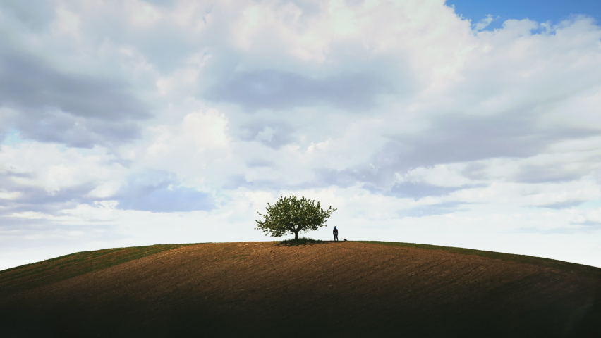 Lonely Girl Under Tree With Cloudy Sky Landscape. Girl alone with cat under a tree looking to the cloudy sky. Motion background