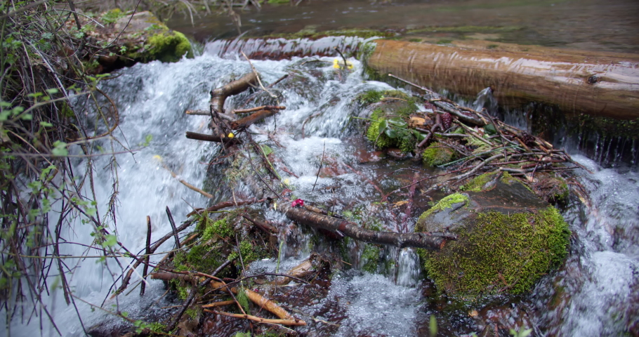 Pan of head waters natural springs in mount Shasta Royalty-Free Stock Footage #1097049159