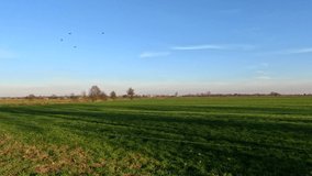 panoramic video of a field with a wide view in autumn
