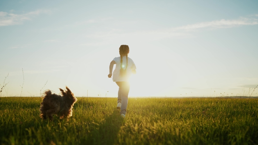 little girl child and dog a run in the park. happy family kid dream holiday concept. girl child silhouette view from the back runs with a pet dog on the grass in the summer in sunset the park at Royalty-Free Stock Footage #1097066747