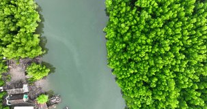 Professional video 4K DCI Cinematic scene nature landscape video aerial view Top-view nature Mangrove green forest and river along the southern Andaman coast of Thailand Nature and travel concept 
