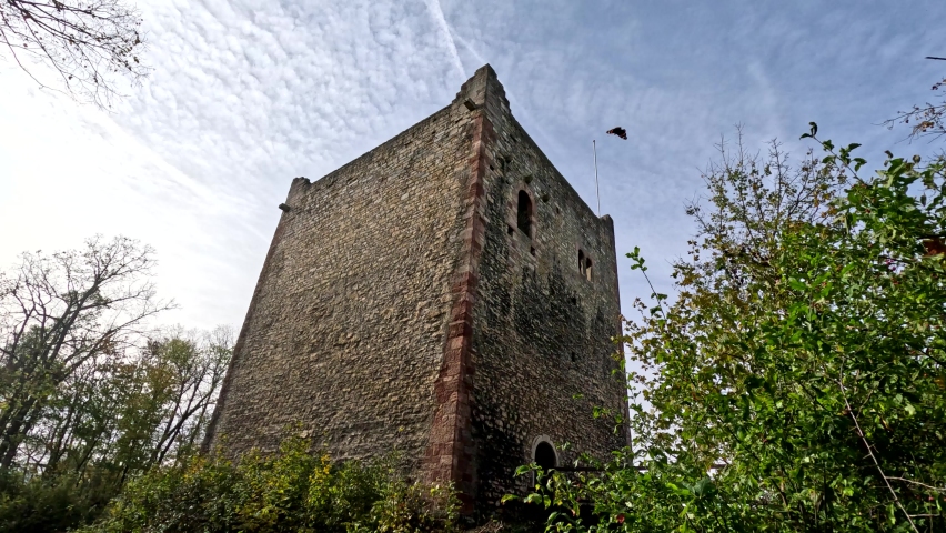 Tower from an European old castle in the forest of Switzerland