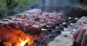 close-up of a barbecue with meat being cooked on fire on a summer day outside. Smoke from barbecue meat. High quality video 6k 4:2:2 10bit downscale 4k