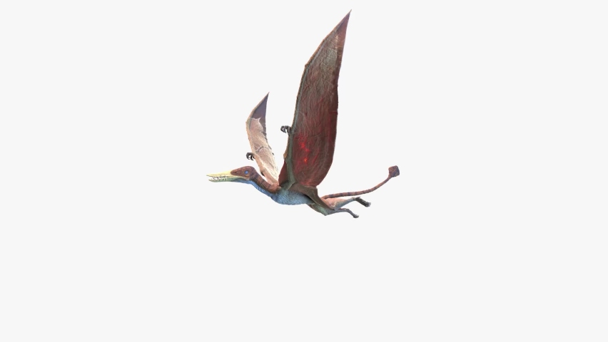 3D Rendered Animation of Rhamphorhynchus Flying. Plain Studio Background. Professional Lighting. Side view.