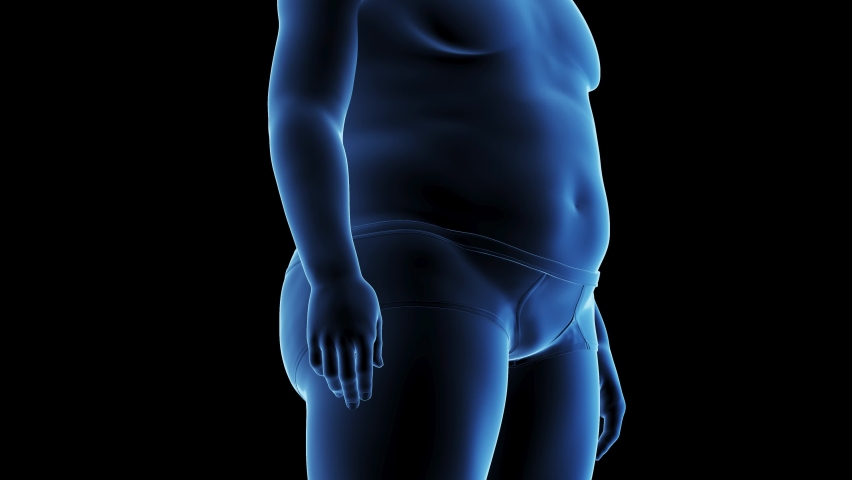 3D Rendered Animation of Male Anatomy - Timelapse Transition from Fat to Fit. Close up. Plain Black Background. Side view. Royalty-Free Stock Footage #1097105791