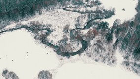 Aerial view, a wild small river in which brown trout lives, meanders among the forest and fields, winter. Beautiful aerial shot on a cloudy day.