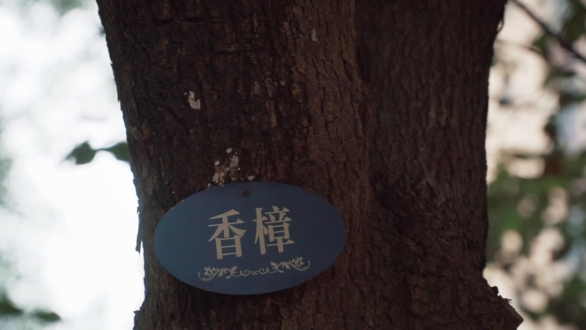 A closeup of a sign with Chinese hieroglyphs writings hanging on a tree trunk