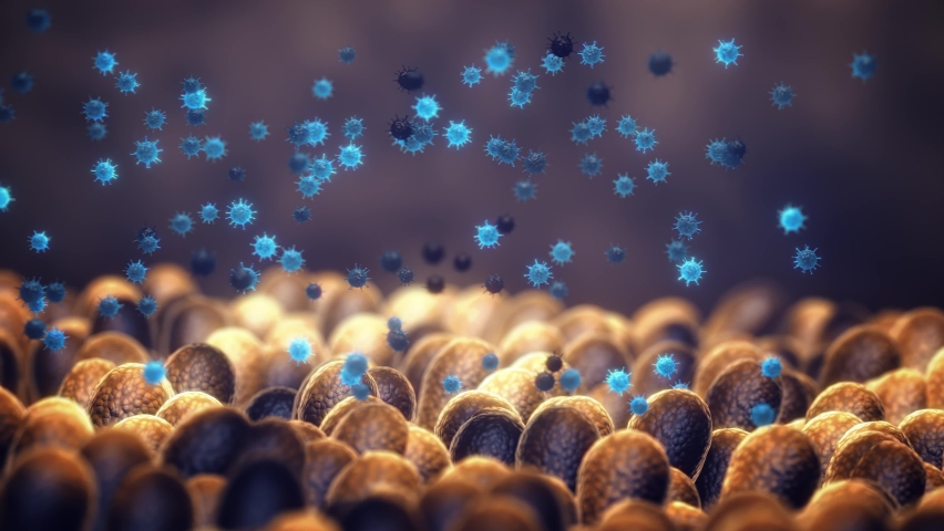 Animation of intestinal viruses (enteroviruses). Viral gastroenteritis is an inflammation of the gastrointestinal tract. Gut microbiome helps control intestinal digestion and the immune system | Shutterstock HD Video #1097114589