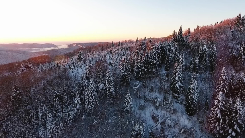 Aerial orbit winter mountain landscape with tree close up covered in snow dense forest in Vosges France Royalty-Free Stock Footage #1097120187