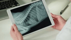 Doctor veterinarian examining skeleton roentgen close-up. Woman vet analyzing animal bones x-ray, ribs on gadget tablet. Healthcare and medicine concept.  - Powered by Shutterstock - Get 15% off with code: PIKWIZARD15