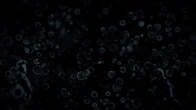 bacteria under microscope video background