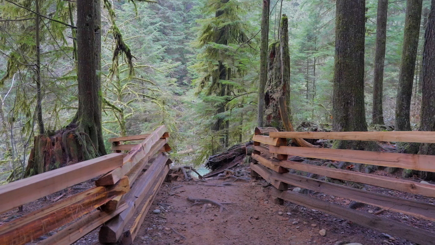 Establishing shot of trail in park in slow motion at summer day in Vancouver, Canada, North America. Day time on September 2022.