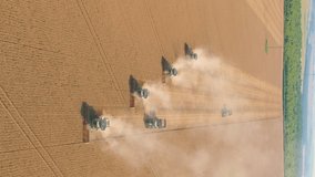 Vertical video of Combine Harvesters Harvesting Wheat Crop In Field