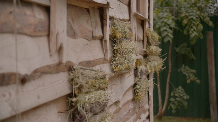 Outer wall of wooden house built according to old technologies. Building is decorated with dry medicinal herbs.