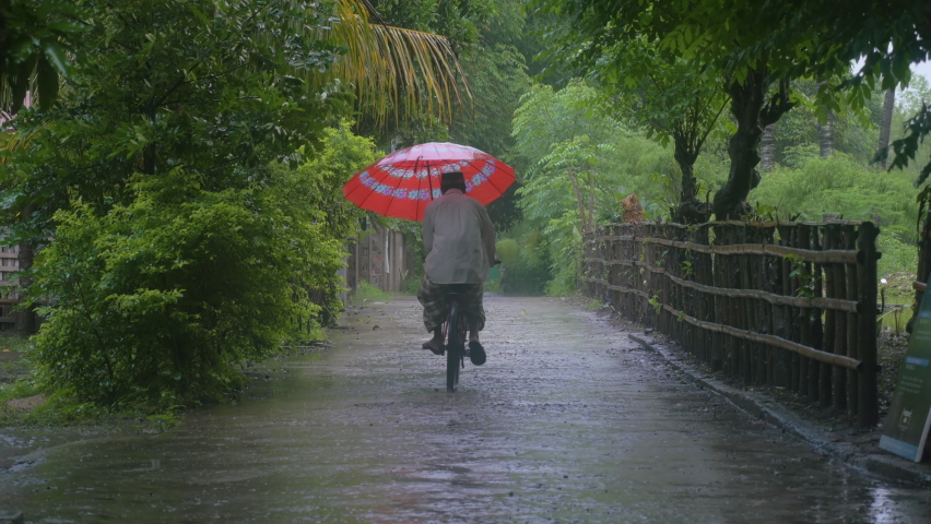 A man rides a bicycle in the rain with his umbrella in the forest, in Indonesia
