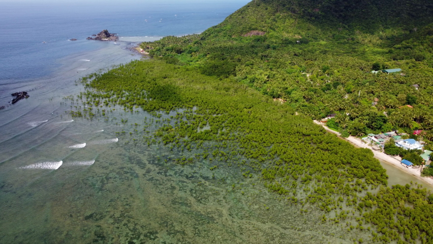 Orbit Shot Of Rock Formation And Beautiful Mangrove Shrubs, Baler, Aurora, Philippines. 4K resolution