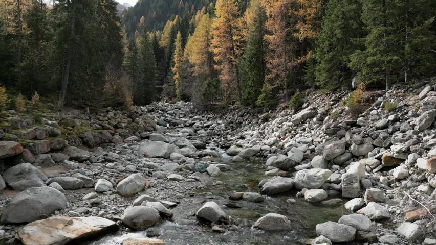 Stream in autumn that runs through the forest. Stony riverbed and golden trees. Aerial shot