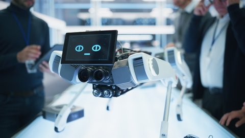 Close Up Robot Dog Prototype with Smiling Emoji Face on Display Standing in a High Tech Modern Industrial Facility. Industrial Robotics Team Working on Scientific Industrial Technology Project. Stock-video