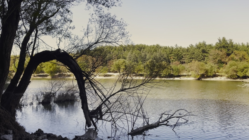 Wooden Seat Near the Green Lake