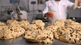 Pastry chef cuts pieces of the dough for the production of artisan panettone. High quality 4k footage