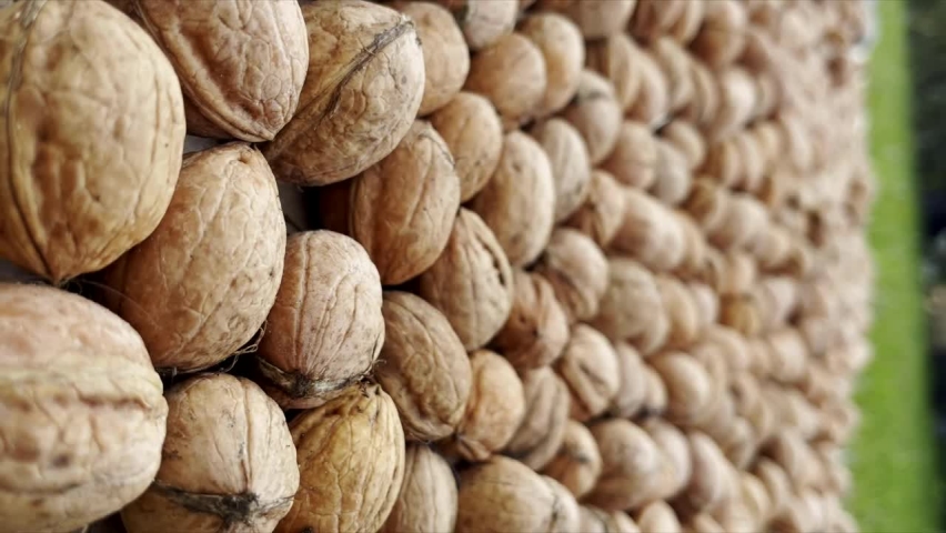 Lots of walnuts on the table. Vertical video for the smartphone. | Shutterstock HD Video #1097193425