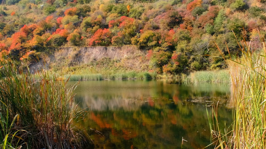 Stunningly beautiful mountain lake in the golden autumn season; magical multi-color reflection with light ripples on the surface of the water Royalty-Free Stock Footage #1097194373