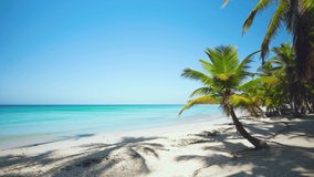 Cuban beach with beautiful palm trees. Amazing island beach with white sand and blue sea. Sea bay. Natural tropical landscape of a wild island. Walk along the coast of the ocean on a sunny summer day.