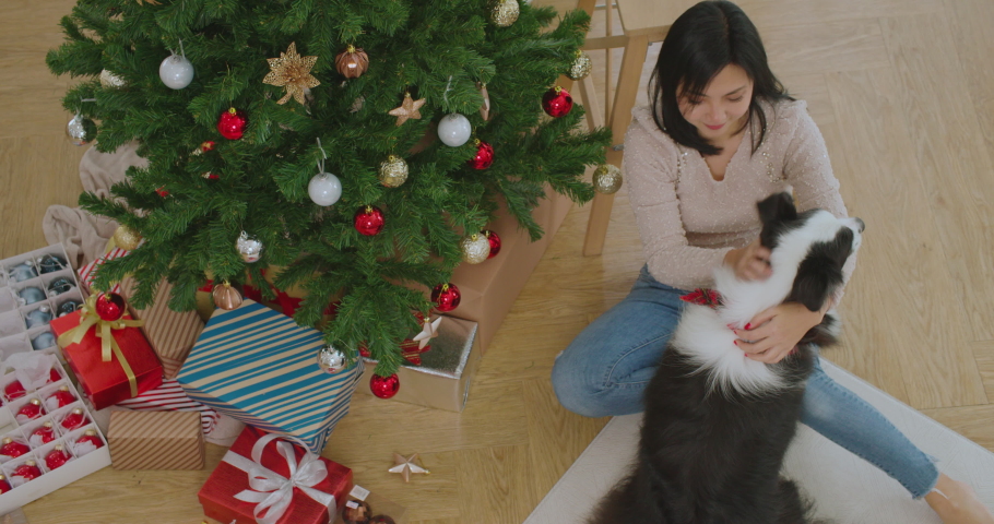 Young asian woman enjoy decorating Christmas tree with cute friend border collie dog at cozy house. Happy girl prepare for celebrating x-mas, New Year winter holidays with lovely puppy pet at home. | Shutterstock HD Video #1097206763