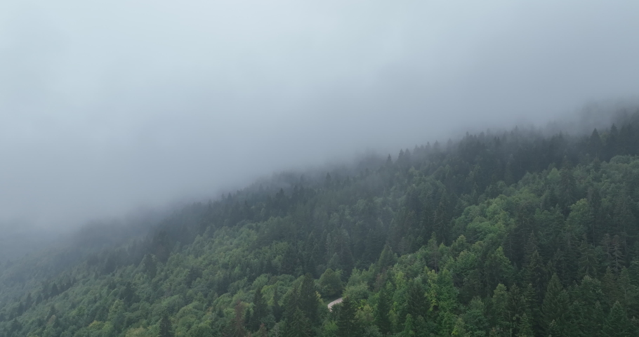 Rainy weather in mountains. Misty fog blowing over pine tree forest. Aerial footage of spruce forest trees on the mountain hills at misty day. Morning fog at beautiful forest.  | Shutterstock HD Video #1097223699