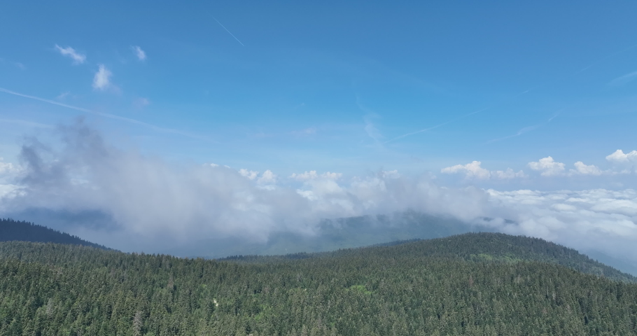 Rainy weather in mountains. Misty fog blowing over pine tree forest. Aerial footage of spruce forest trees on the mountain hills at misty day. Morning fog at beautiful forest.  | Shutterstock HD Video #1097223731