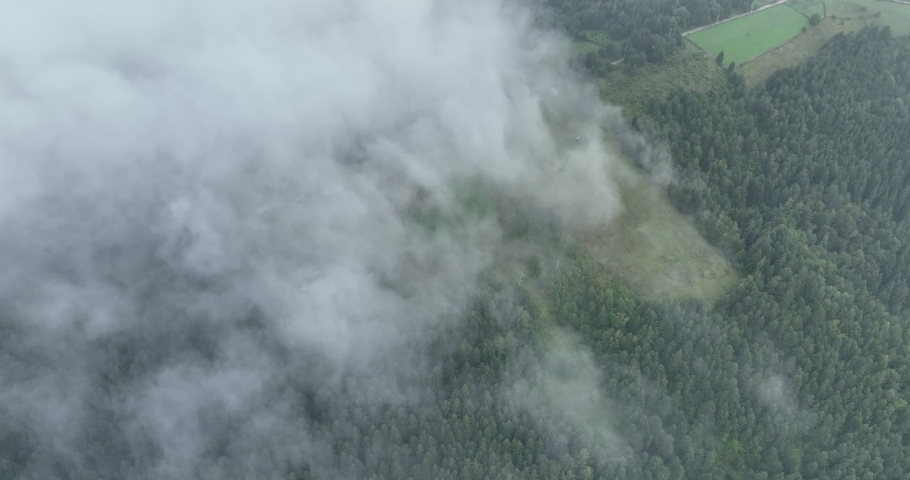 Rainy weather in mountains. Misty fog blowing over pine tree forest. Aerial footage of spruce forest trees on the mountain hills at misty day. Morning fog at beautiful forest.  | Shutterstock HD Video #1097223735