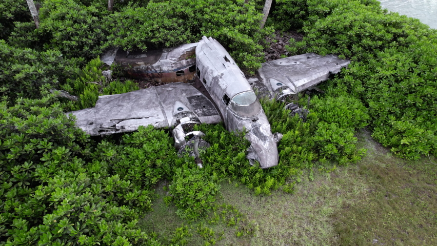 Crashed airplane in dense foliage on tropical island. | Shutterstock HD Video #1097248219