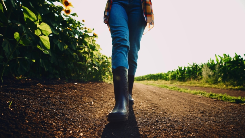 Close up of farmer's feet in boots walking along land road in countryside in field and inspection their possessions. Agricultural work on preparation of territory for production natural healthy eat. | Shutterstock HD Video #1097254075