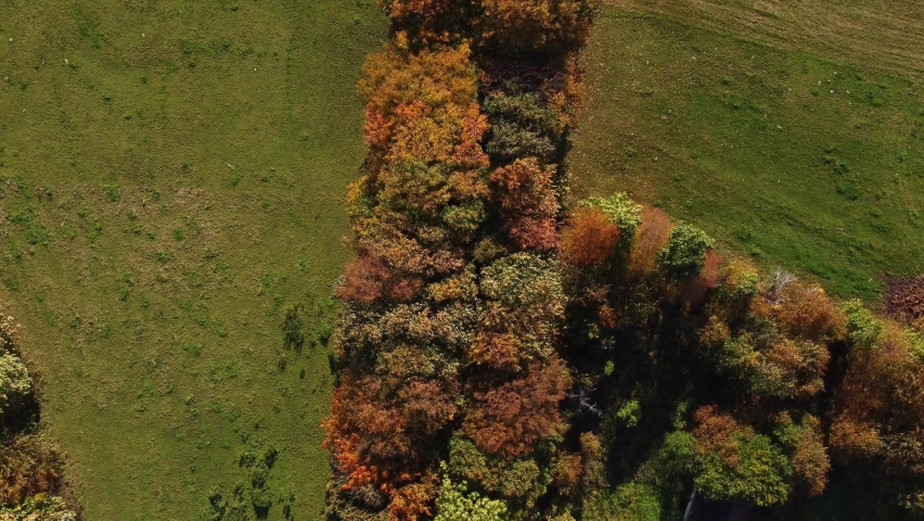 Aerial view of the landscape playing with all the colours of the autumn season during a warm sunset. Deciduous trees playing in yellow, orange, red and green. Lungs of the earth | Shutterstock HD Video #1097254685